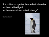 darwin-quote-stronest-species-survive-responsive
